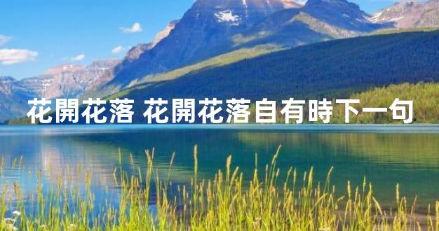 花開花落 花開花落自有時下一句